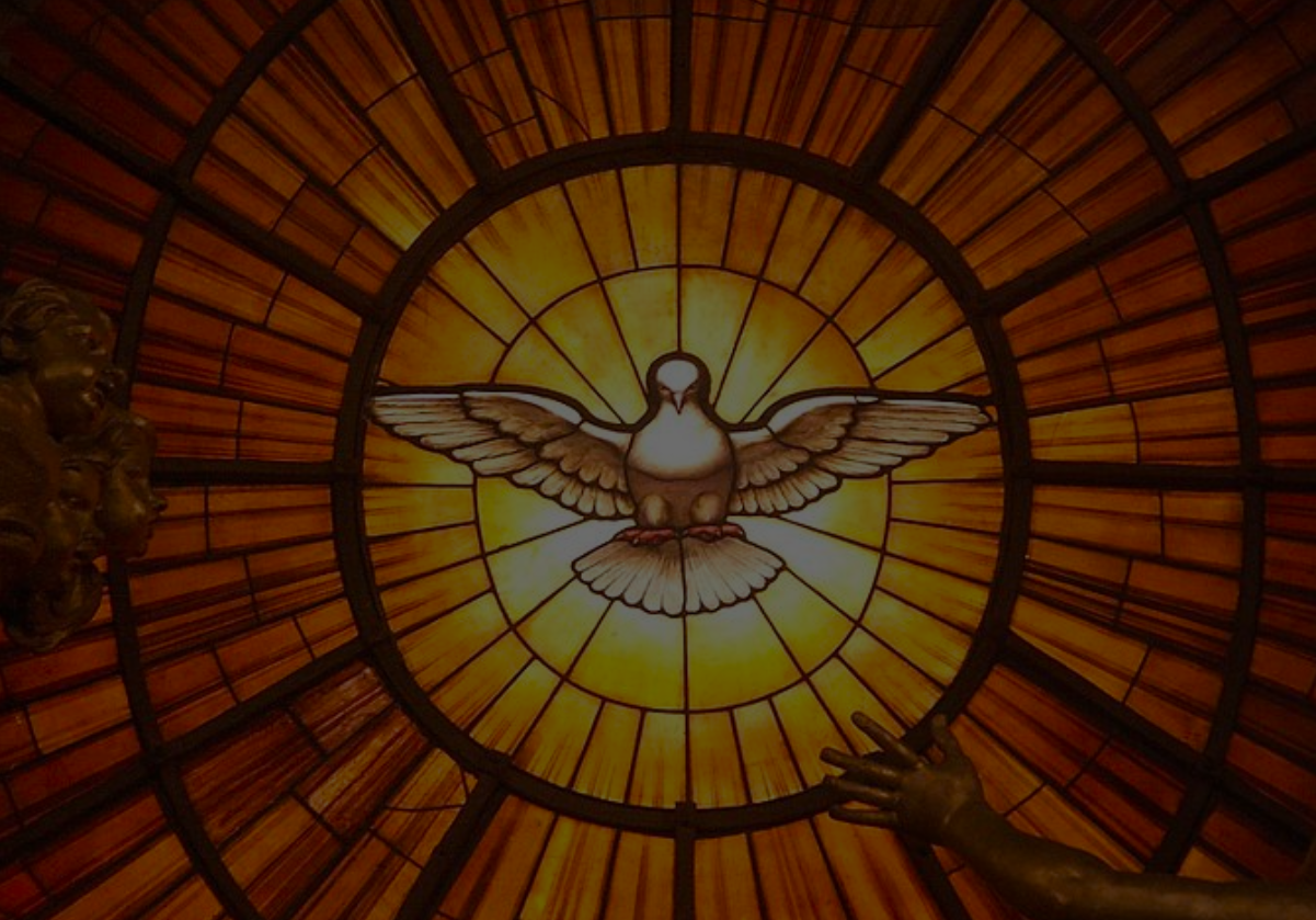 Catálogo Espíritu Santo