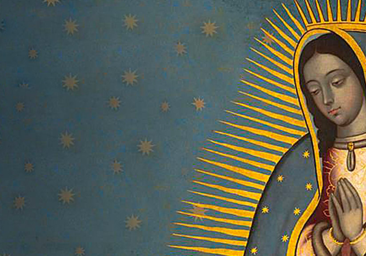 Catálogo Virgen de Guadalupe